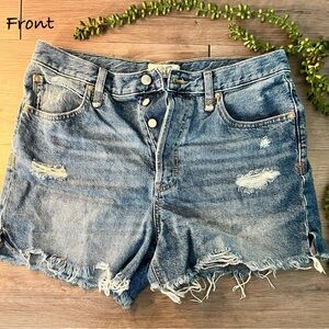 Free People Denim Shorts